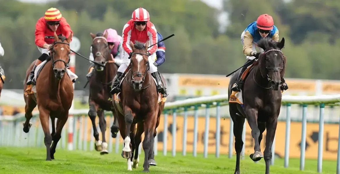 Northumberland Plate preview: Richard Hughes on big gamble Circus Of Rome